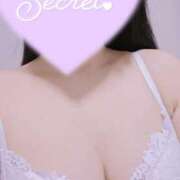 ヒメ日記 2025/03/20 23:45 投稿 ちふゆ 吉祥寺大人めシンデレラ（シンデレラグループ）