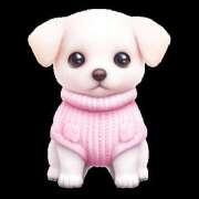 ヒメ日記 2025/08/08 19:05 投稿 あきな スポコスkunkakunka