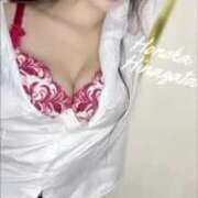 ヒメ日記 2024/12/29 19:48 投稿 雛形ほのか 金瓶梅(きんぺいぱい)(雄琴)