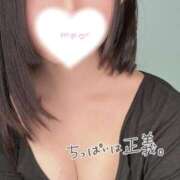 ヒメ日記 2025/06/29 11:45 投稿 あまね きらめけ！にゃんにゃん学園in大宮