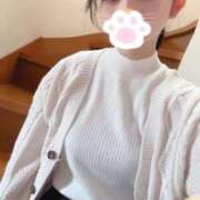 ヒメ日記 2025/09/13 13:00 投稿 あまね きらめけ！にゃんにゃん学園in大宮