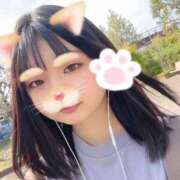 ヒメ日記 2025/09/13 15:45 投稿 あまね きらめけ！にゃんにゃん学園in大宮