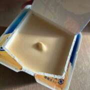 ヒメ日記 2025/09/28 12:15 投稿 あまね きらめけ！にゃんにゃん学園in大宮