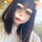 ヒメ日記 2025/11/17 12:16 投稿 あまね きらめけ！にゃんにゃん学園in大宮