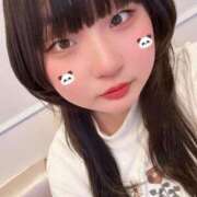 ヒメ日記 2026/01/25 12:31 投稿 あまね きらめけ！にゃんにゃん学園in大宮