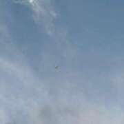 ヒメ日記 2025/09/26 08:52 投稿 莉奈【リナ】 輝女