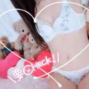 ヒメ日記 2025/02/15 23:01 投稿 まりあ♡クォーター美女♡体験 LUXURIA（ルクスリア）