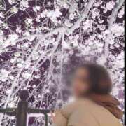 ヒメ日記 2025/04/06 15:55 投稿 えみな 横浜熟女MAX