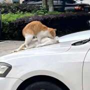 ヒメ日記 2025/11/06 19:05 投稿 えみな 横浜熟女MAX