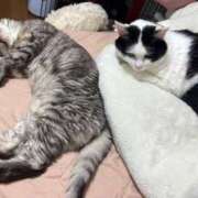 ヒメ日記 2025/05/12 21:13 投稿 こずえ 沼津人妻花壇