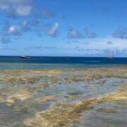 ヒメ日記 2025/08/20 12:03 投稿 きさき『ぽっちゃりコース』 素人学園＠