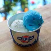 ヒメ日記 2025/08/25 16:12 投稿 きさき『ぽっちゃりコース』 素人学園＠