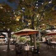 ヒメ日記 2025/12/01 00:18 投稿 きさき『ぽっちゃりコース』 素人学園＠