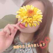 ヒメ日記 2024/12/29 12:30 投稿 木瀬なごみ イマジン東京