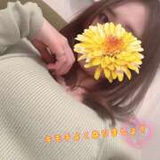 ヒメ日記 2025/02/22 11:50 投稿 木瀬なごみ イマジン東京