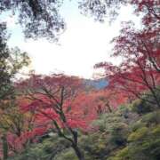 ヒメ日記 2026/01/13 23:09 投稿 星那-SEINA- luxury aroma 咲