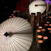 ヒメ日記 2026/02/28 23:34 投稿 星那-SEINA- luxury aroma 咲