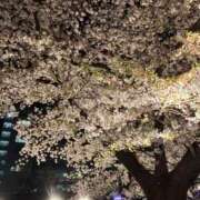 ヒメ日記 2026/04/08 13:54 投稿 星那-SEINA- luxury aroma 咲