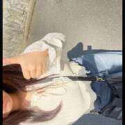 ヒメ日記 2025/04/22 17:33 投稿 もか パイの巣