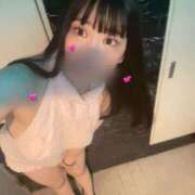 ヒメ日記 2025/07/07 11:00 投稿 もか パイの巣