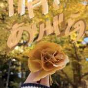 ヒメ日記 2025/11/30 23:41 投稿 もか パイの巣