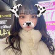 ヒメ日記 2025/02/01 16:21 投稿 なち Vivienne池袋西口店