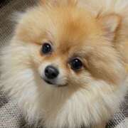 ヒメ日記 2025/05/16 17:41 投稿 なち Vivienne池袋西口店