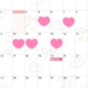 ヒメ日記 2025/03/03 21:25 投稿 かすみ ウルトラグレイス24