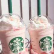 ヒメ日記 2025/03/06 22:21 投稿 かすみ ウルトラグレイス24