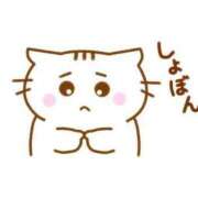 ヒメ日記 2025/07/14 17:33 投稿 かすみ ウルトラグレイス24