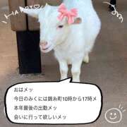 ヒメ日記 2024/12/29 08:29 投稿 森川みくに ワイフコレクション