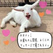 ヒメ日記 2025/03/27 10:27 投稿 森川みくに ワイフコレクション