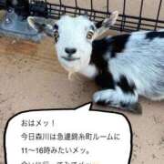 ヒメ日記 2025/07/11 10:26 投稿 森川みくに 色気あるワイフ