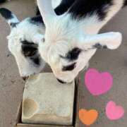 ヒメ日記 2025/07/31 10:47 投稿 森川みくに 色気あるワイフ