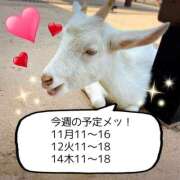 ヒメ日記 2025/08/10 10:27 投稿 森川みくに 色気あるワイフ