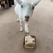 ヒメ日記 2025/10/18 10:09 投稿 森川みくに 色気あるワイフ