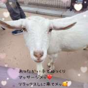 ヒメ日記 2025/11/07 10:32 投稿 森川みくに 色気あるワイフ