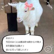 ヒメ日記 2024/12/29 08:34 投稿 森川みくに 美魔女エステ