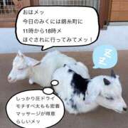 ヒメ日記 2025/01/07 07:31 投稿 森川みくに 美魔女エステ