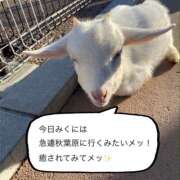 ヒメ日記 2025/01/22 11:49 投稿 森川みくに 美魔女エステ