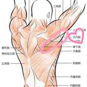 ヒメ日記 2025/02/14 11:42 投稿 森川みくに 美魔女エステ