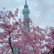 ヒメ日記 2025/03/12 23:11 投稿 森川みくに 美魔女エステ