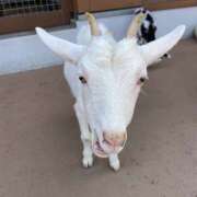 ヒメ日記 2025/07/21 20:48 投稿 森川みくに 美魔女エステ