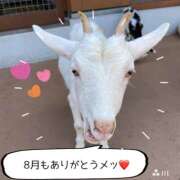 ヒメ日記 2025/08/31 11:11 投稿 森川みくに 美魔女エステ