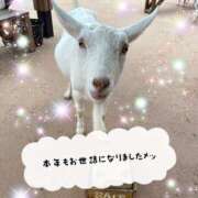 森川みくに 今年ラストは錦糸町 美魔女エステ