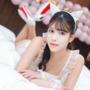 ヒメ日記 2026/02/09 20:50 投稿 のえる シャブール