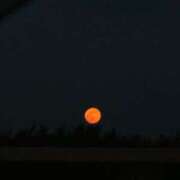 ヒメ日記 2025/02/03 17:16 投稿 まなか マリン千姫