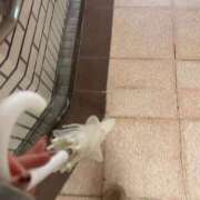 ヒメ日記 2025/03/05 21:50 投稿 まなか マリン千姫