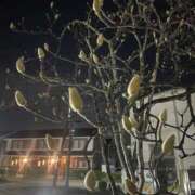 ヒメ日記 2025/03/24 17:48 投稿 まなか マリン千姫