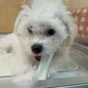 ヒメ日記 2025/03/26 21:56 投稿 まなか マリン千姫